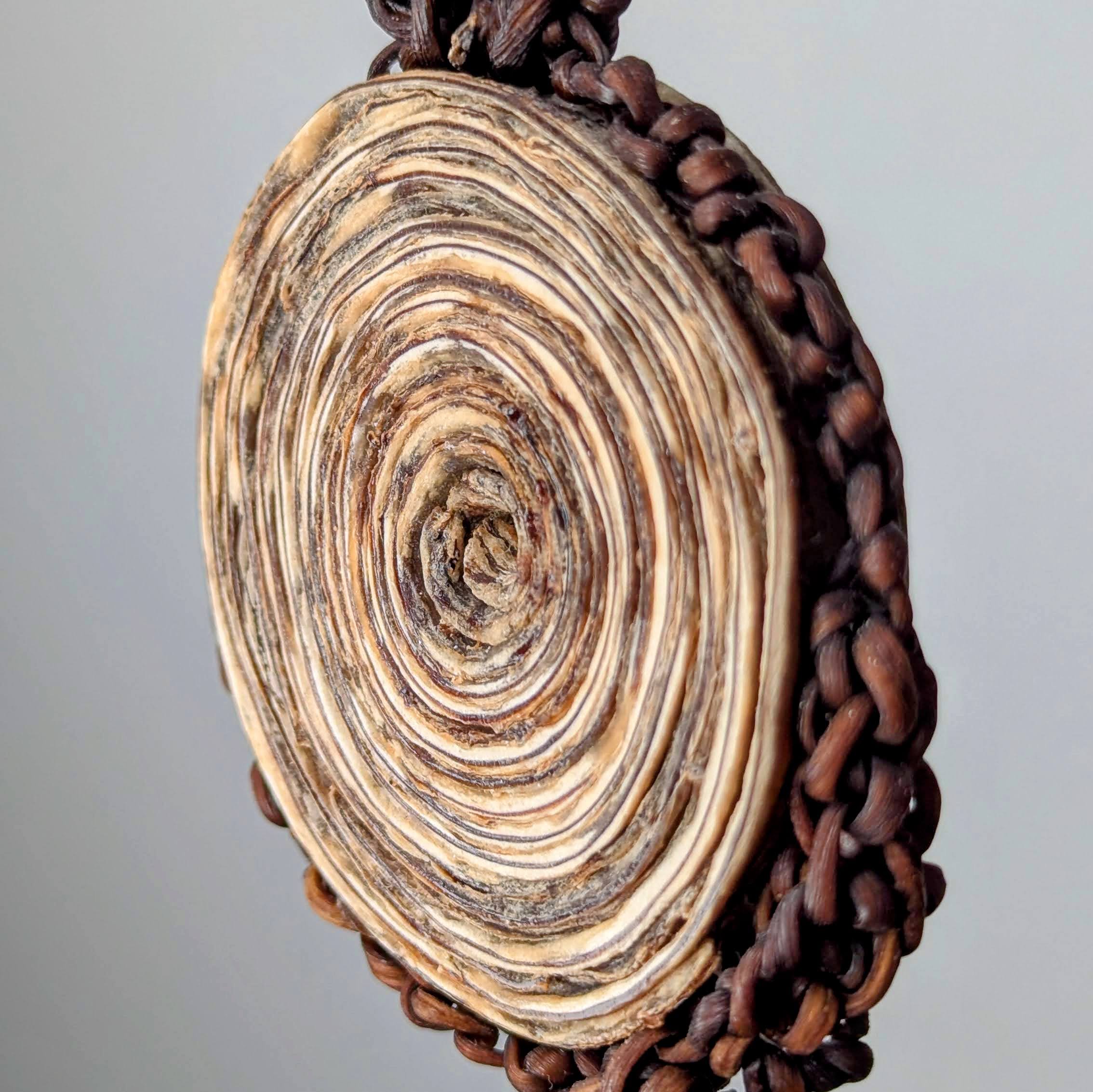 Ascorythrix Pendant Necklace - Image 4
