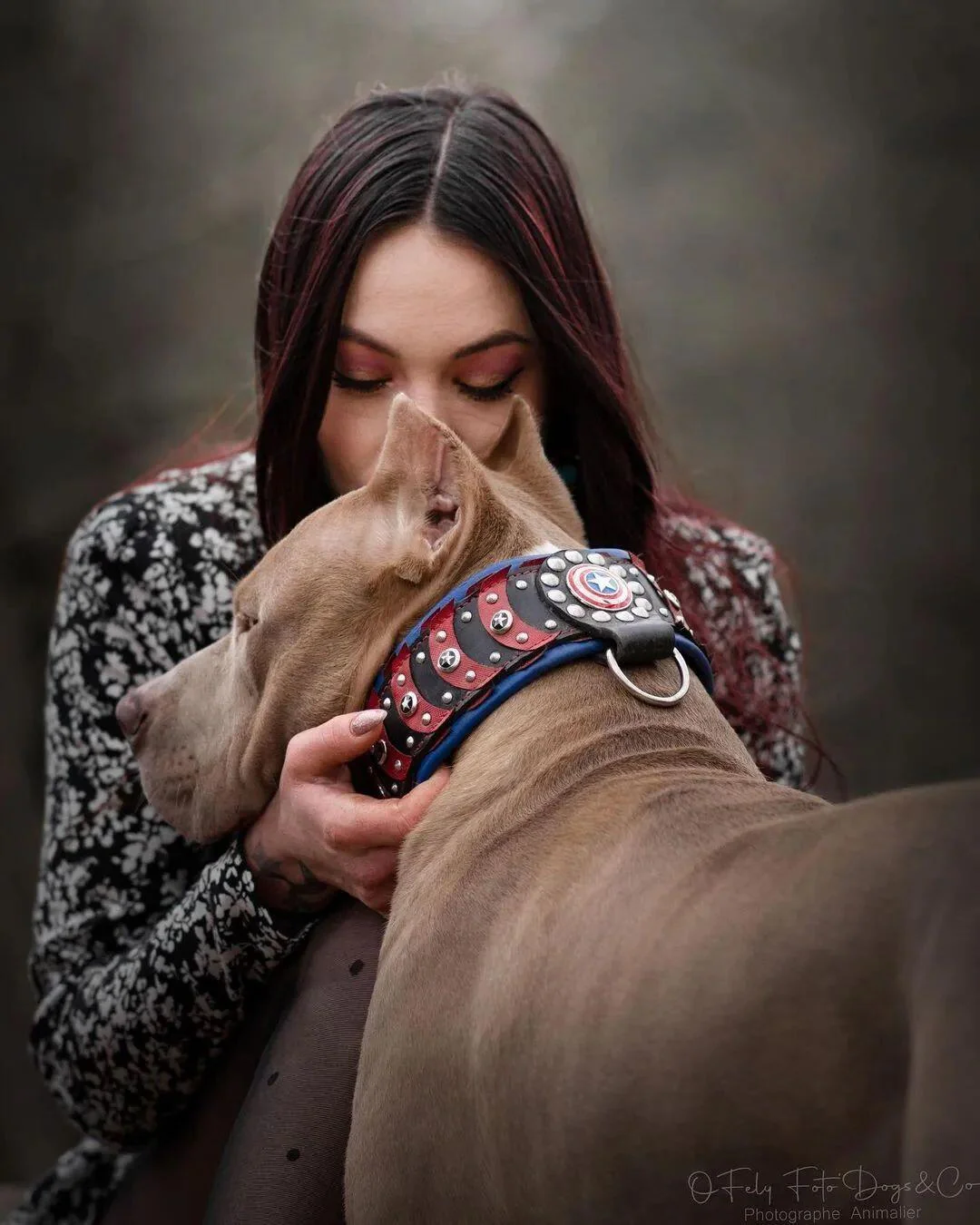 ''Captain America'' Dog Collar - Image 4