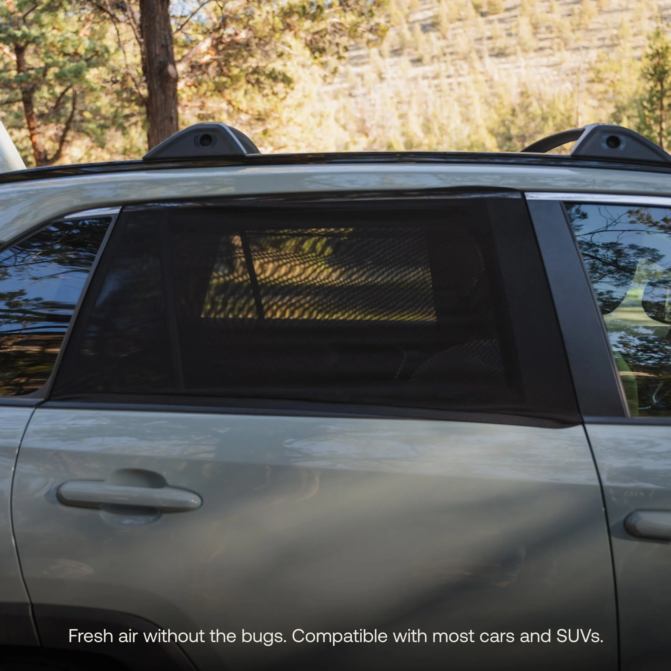Car Window Screens - Image 9
