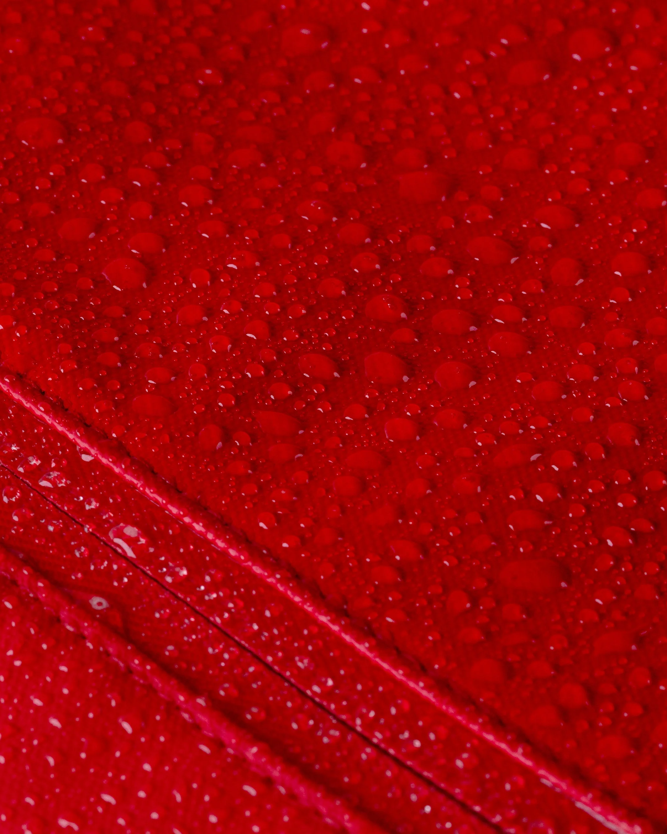 Cascade Backpack - Compact - Image 91