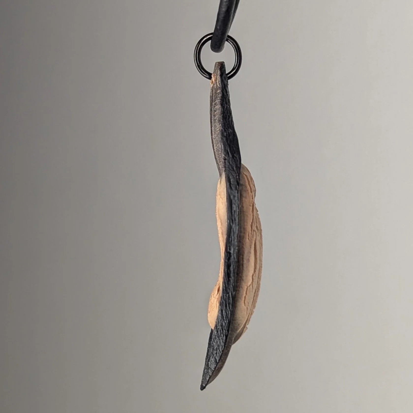 Caulerionyx Pendant Necklace - Image 3
