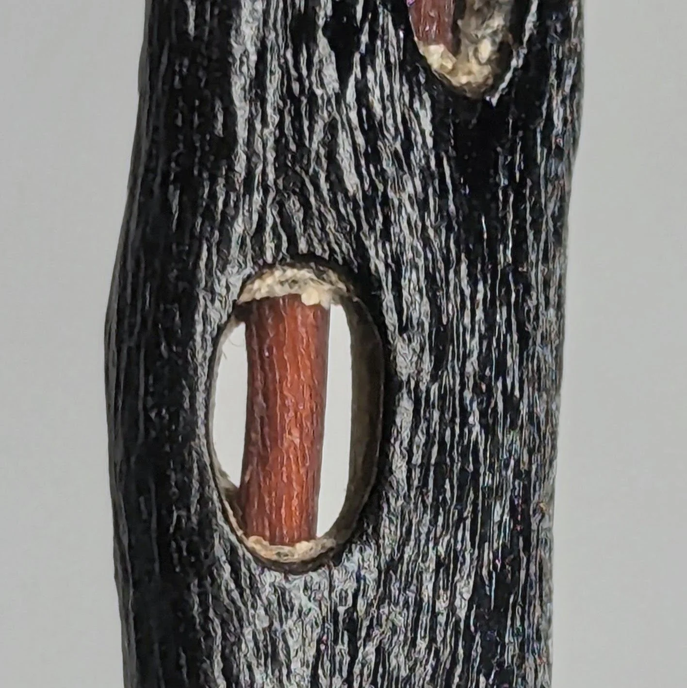 Chordis Pendant Necklace - Image 2