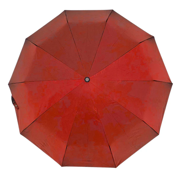 EVERYDAY | Umbrella with Never-Forget Carabiner Handle - Image 34