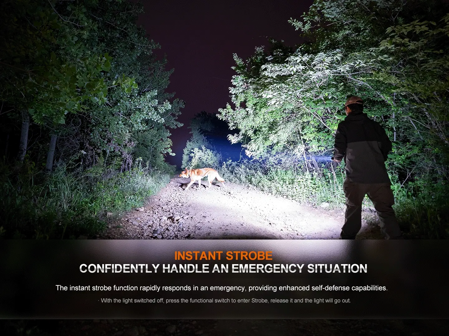 HT32 Hunting Flashlight with Red & Green Output - Image 13
