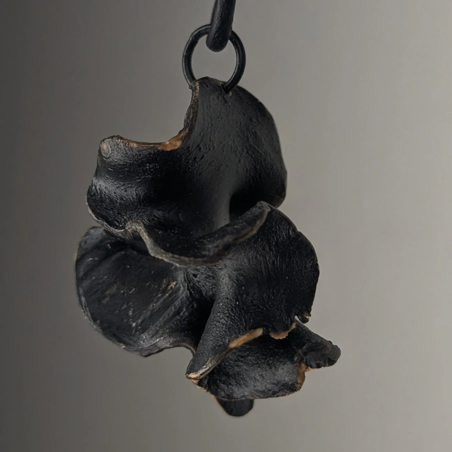 Fucalophrys Pendant Necklace - Image 2