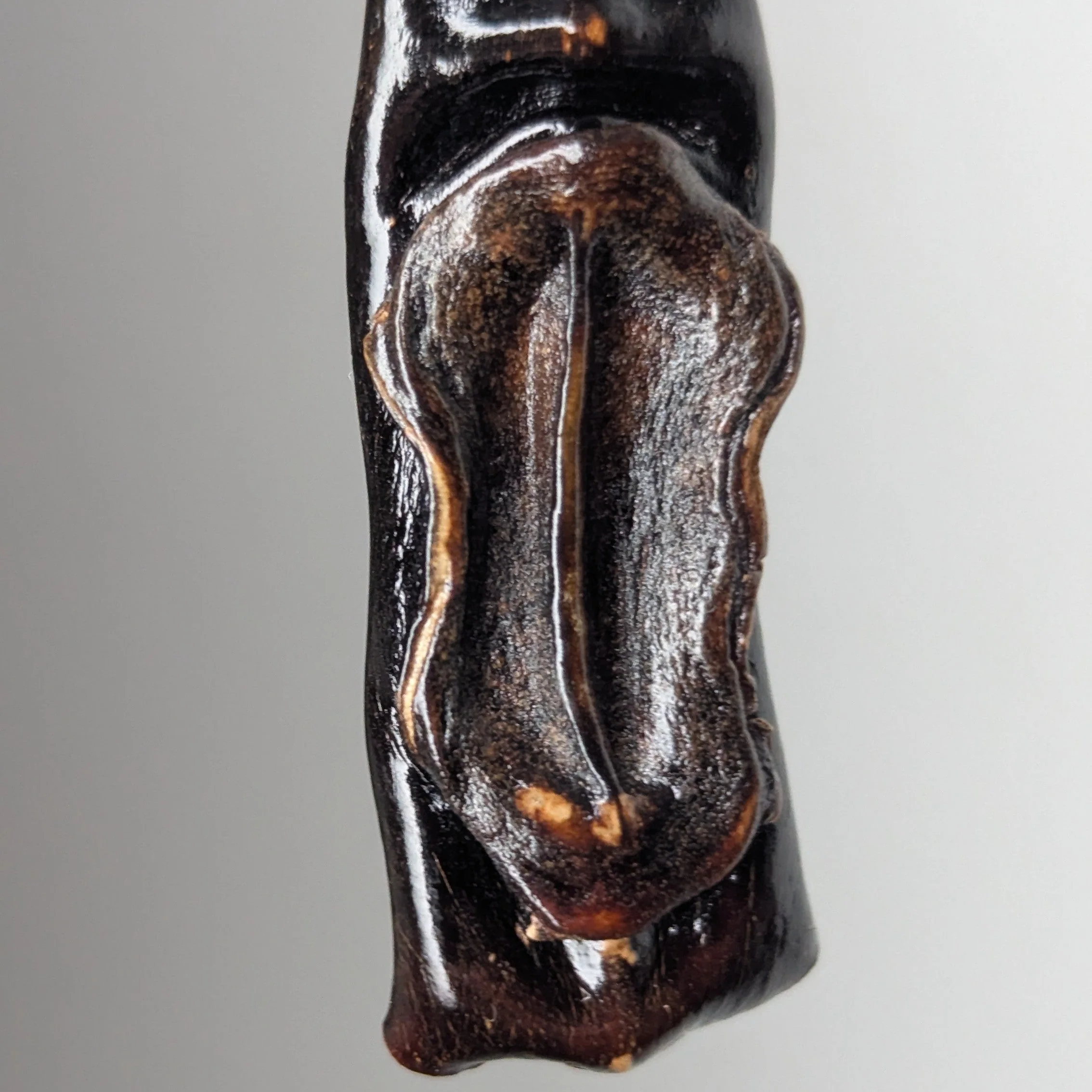 Fucyra Pendant Necklace - Image 2