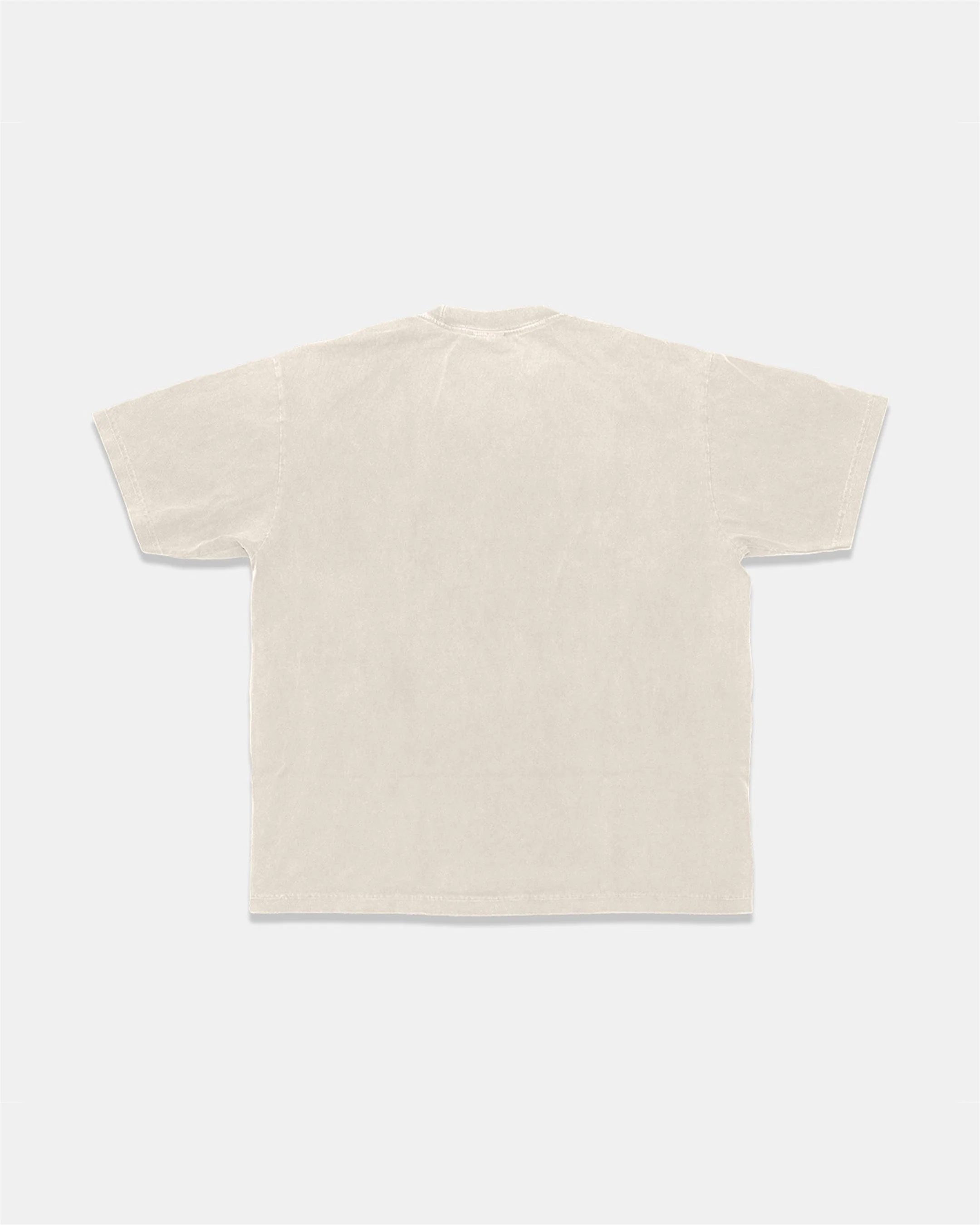 HeavyKnit Centerpiece Tee - Oatmeal - Image 2