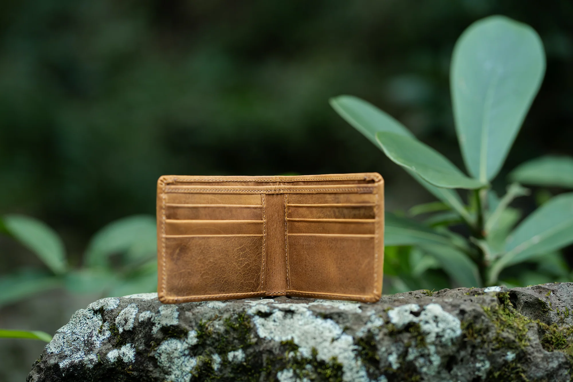 Kailua Men's Bifold Wallet - Image 10