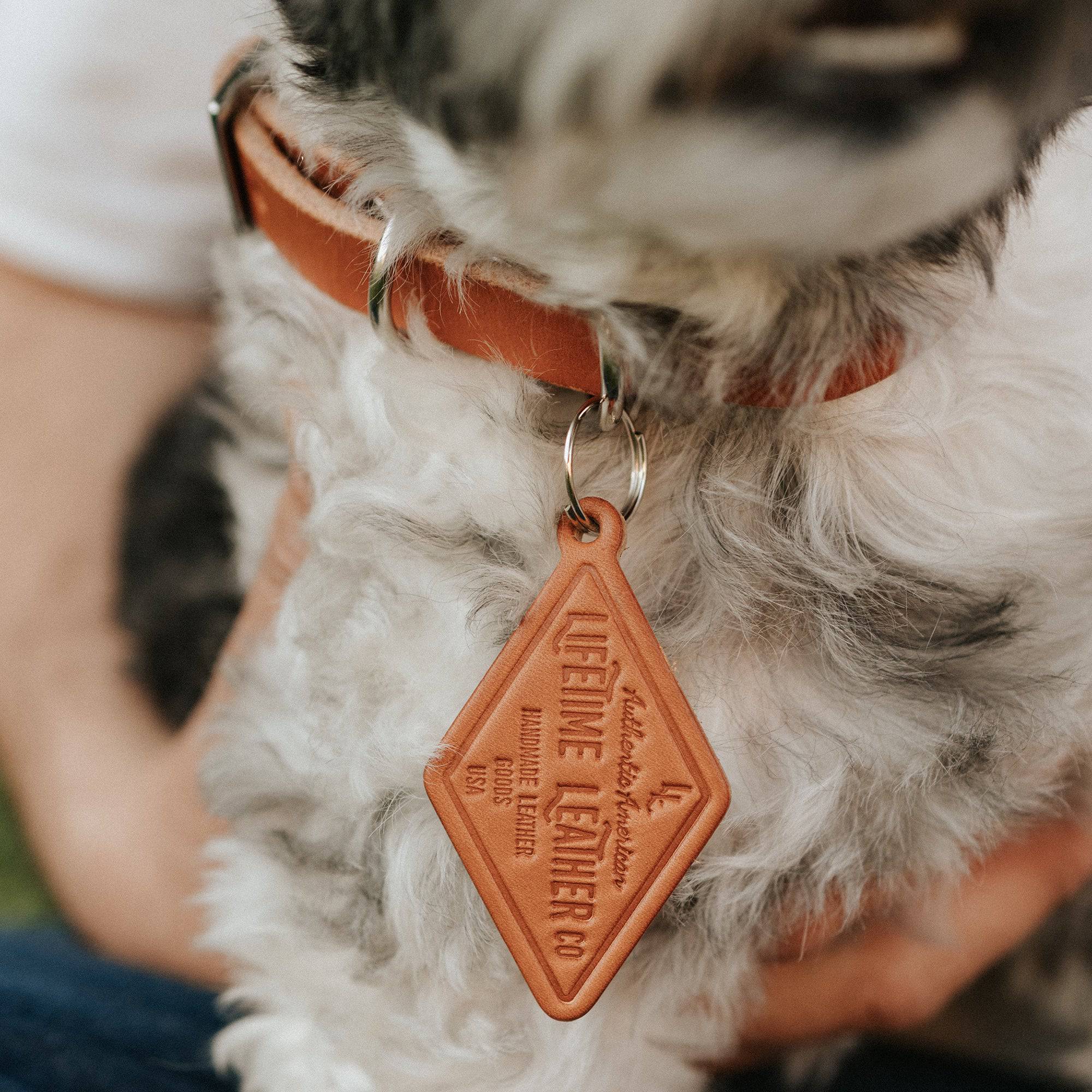 Leather Dog Collar - Classic - Image 6
