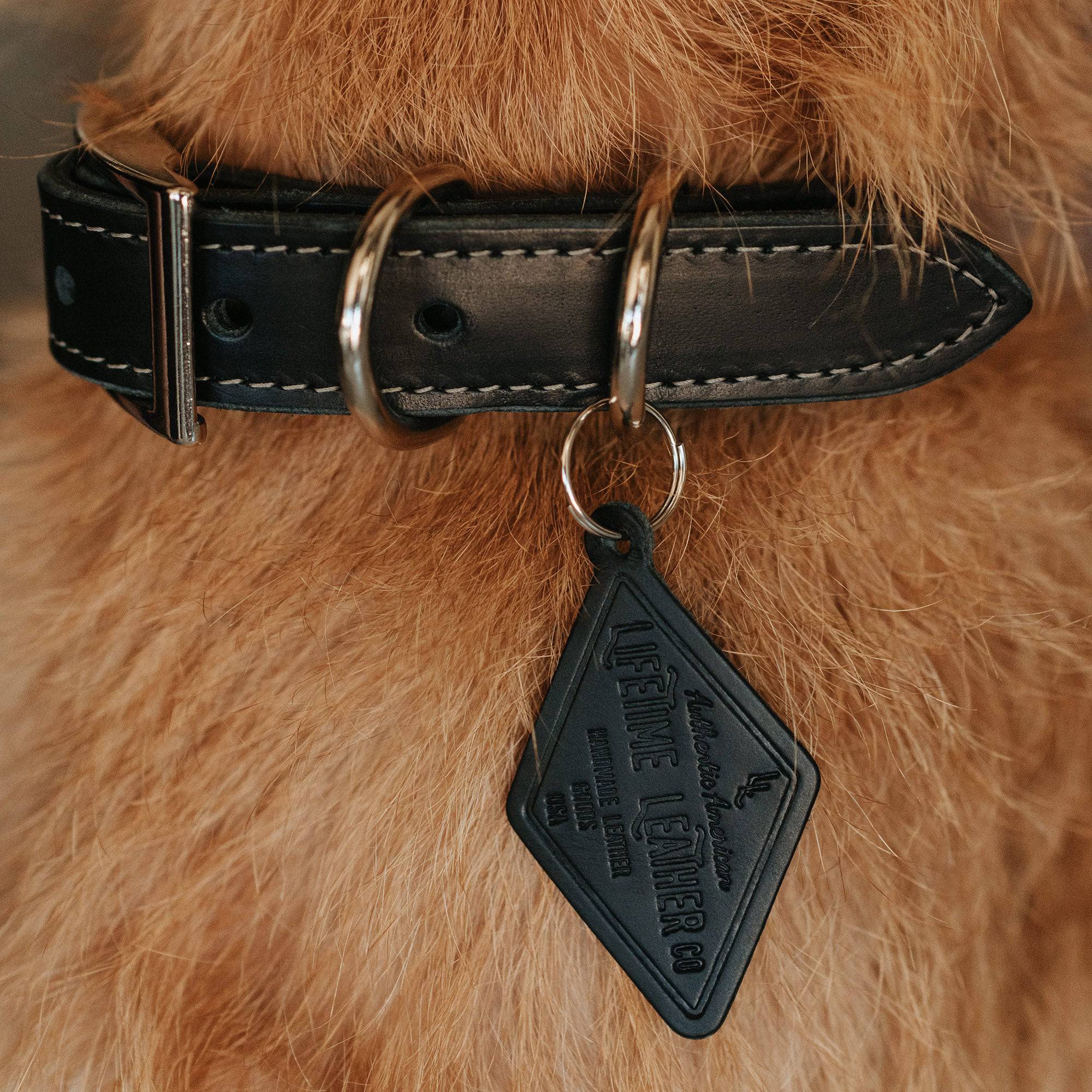 Leather Dog Collar - Designer - Image 7