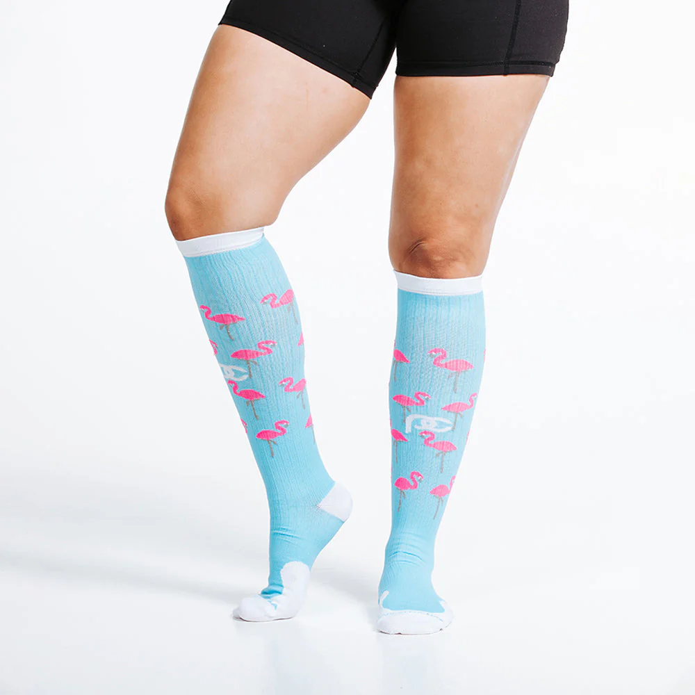 Marathon, Flamingos - Image 2