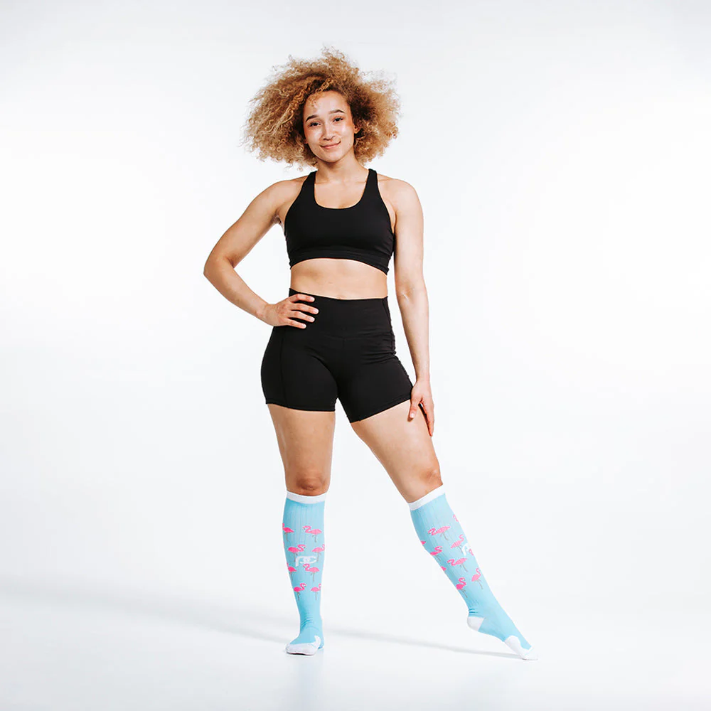 Marathon, Flamingos - Image 3