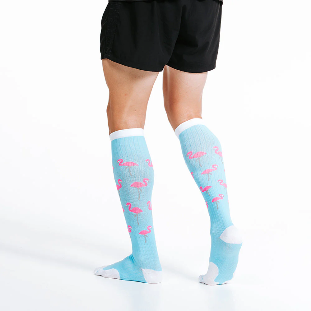 Marathon, Flamingos - Image 6