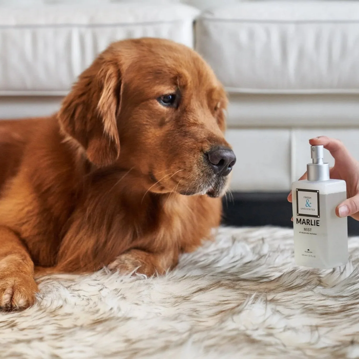 Marlie Mist Pet Odor Eliminator Spray with Essential Oils - Image 11