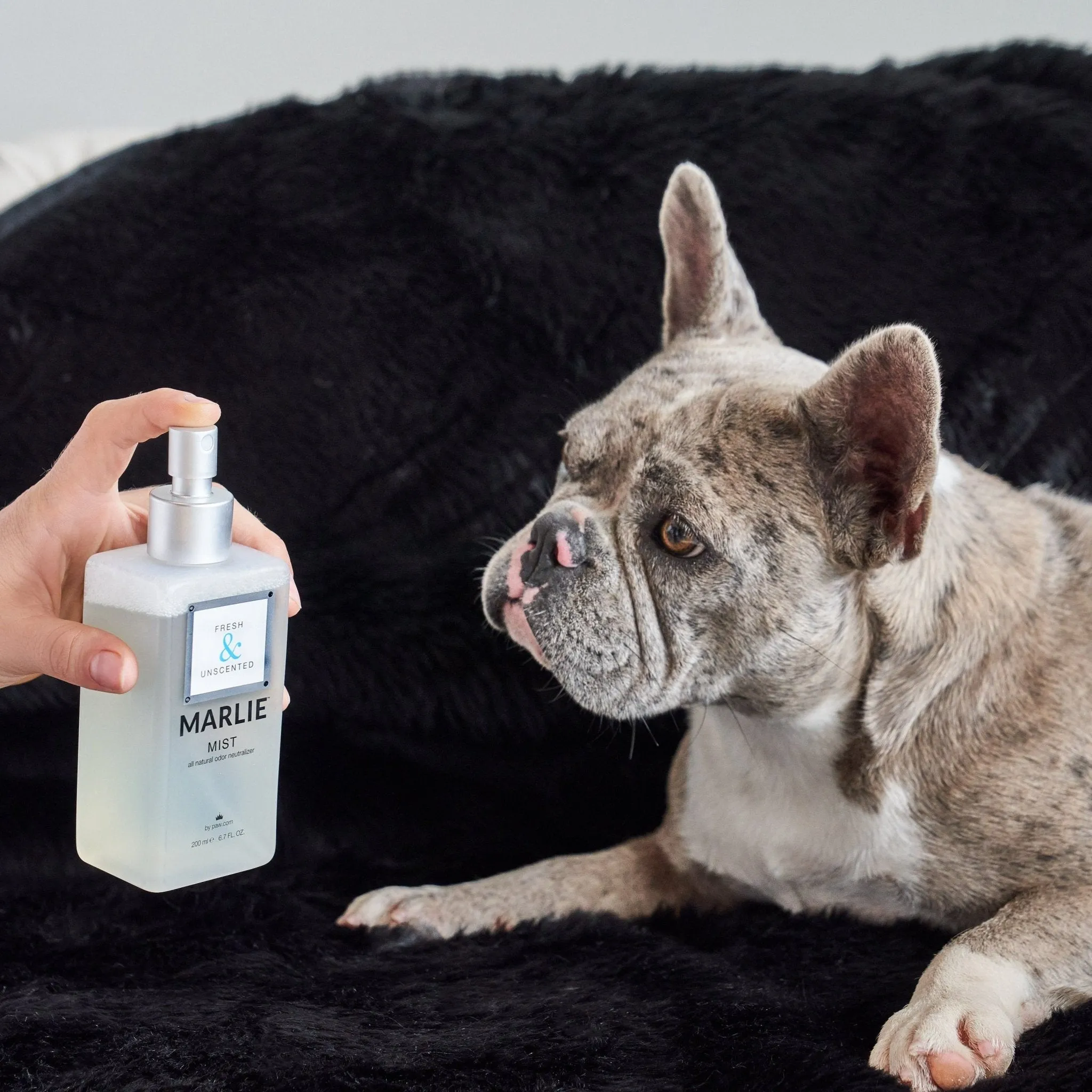 Marlie Mist Pet Odor Eliminator Spray with Essential Oils - Image 9