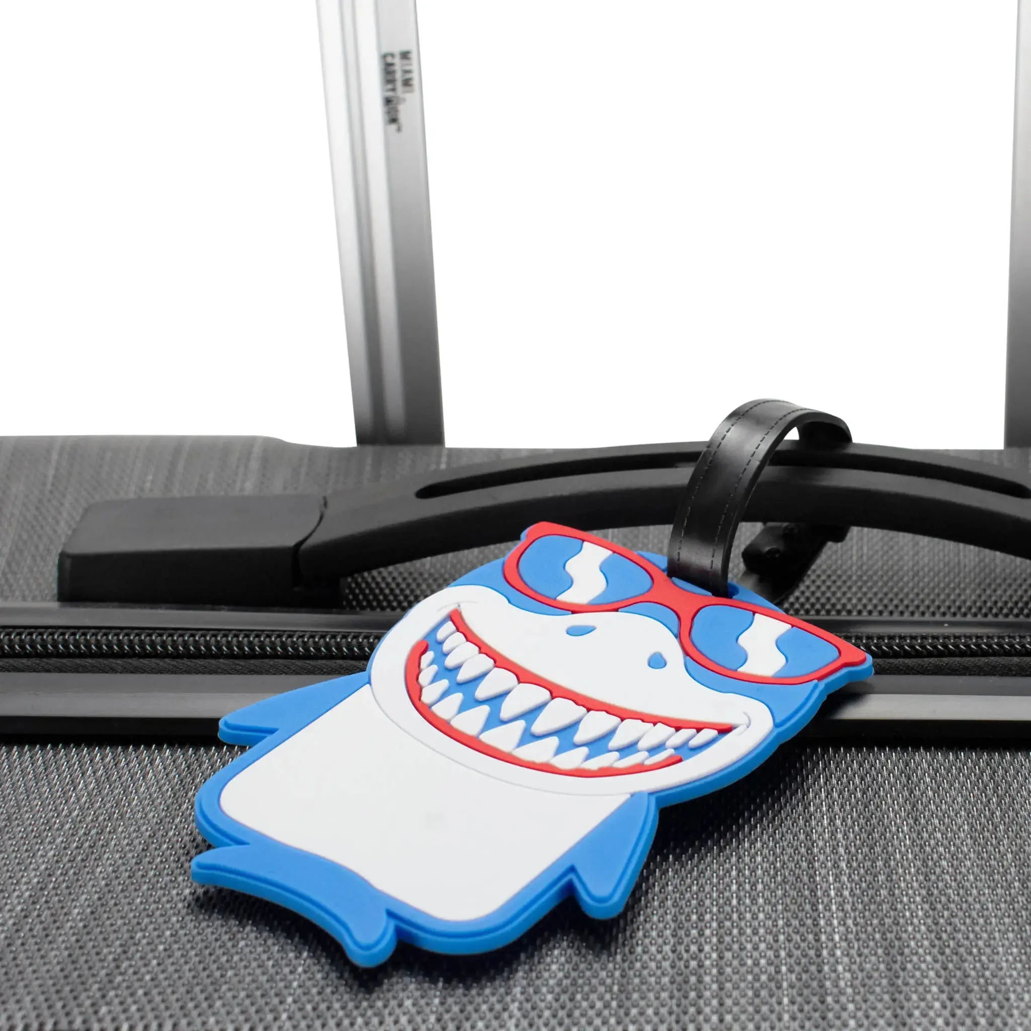 Novelty Collection Luggage Tags Set of 2 - Image 33