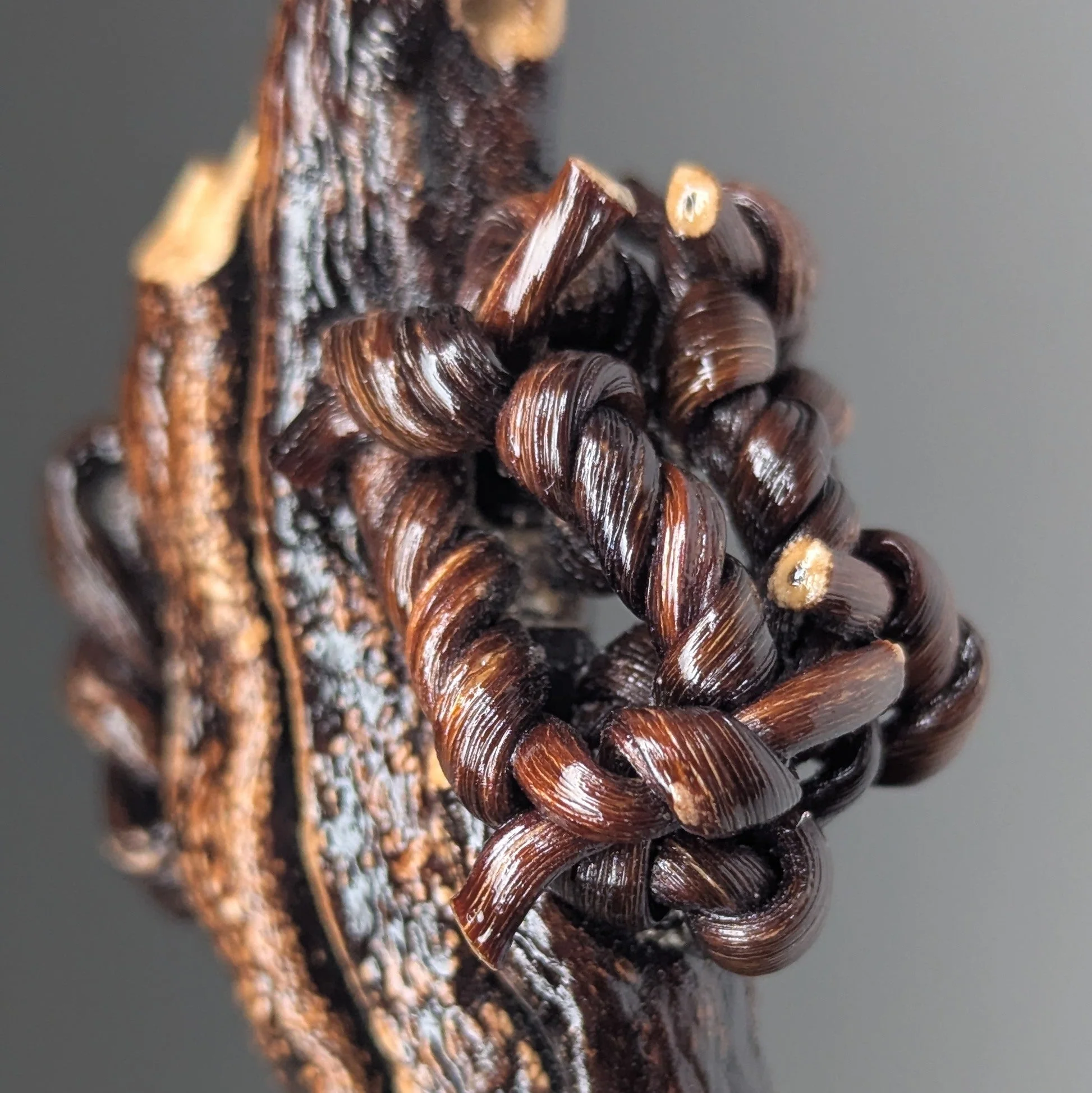 Padocystis Pendant Necklace - Image 2