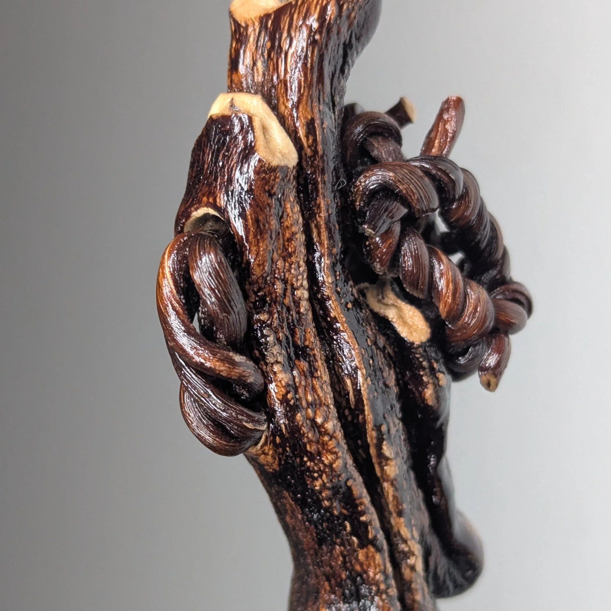 Padocystis Pendant Necklace - Image 4