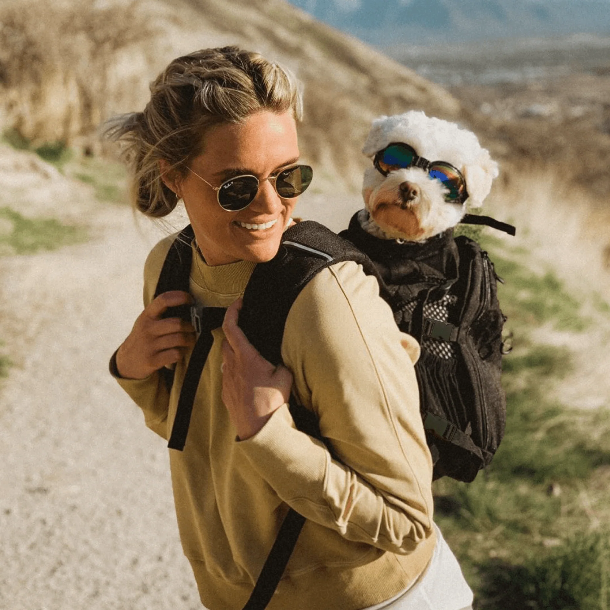 Plus 2 | Dog Carrier with Removable Storage - Image 20