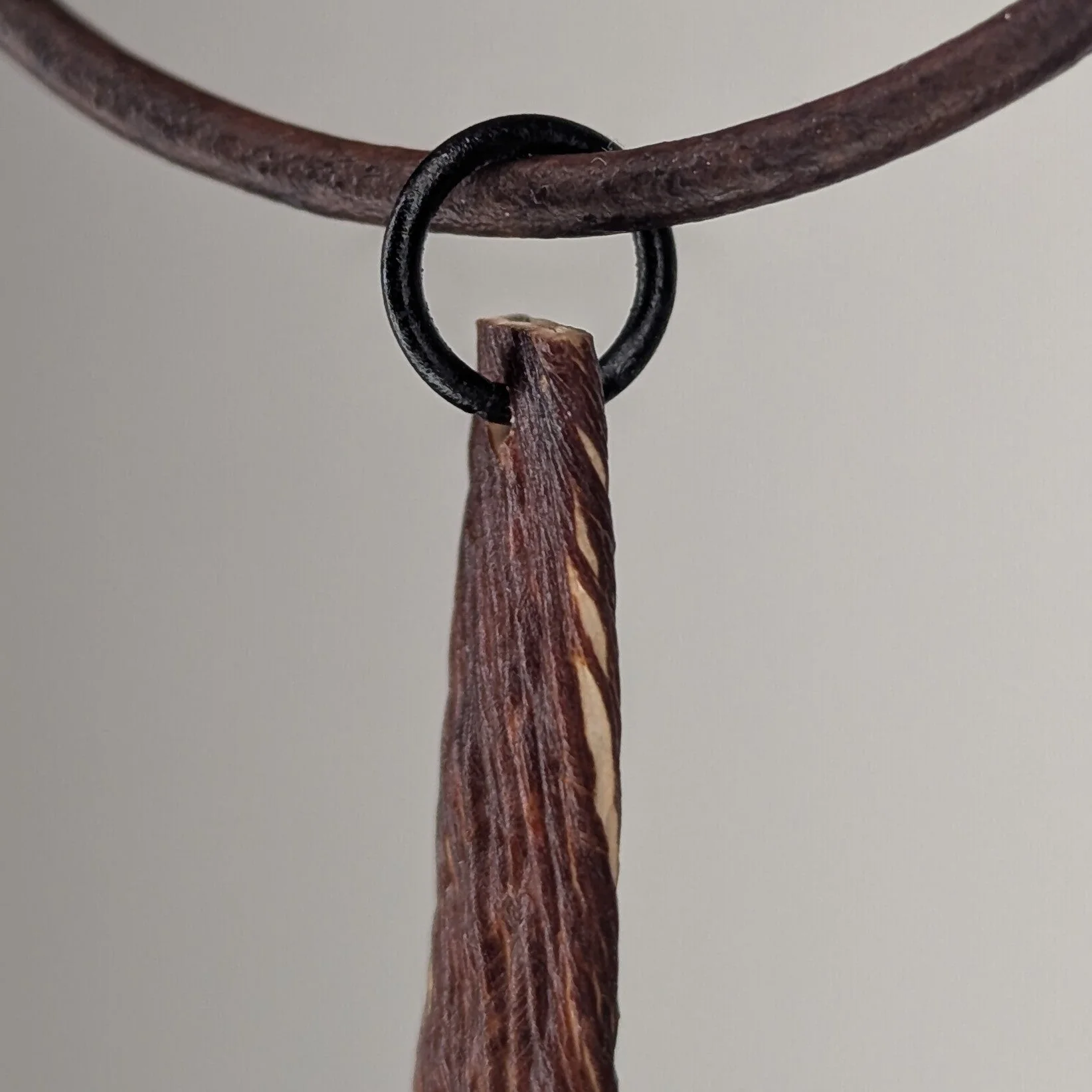 Saccharionyx Pendant Necklace - Image 2