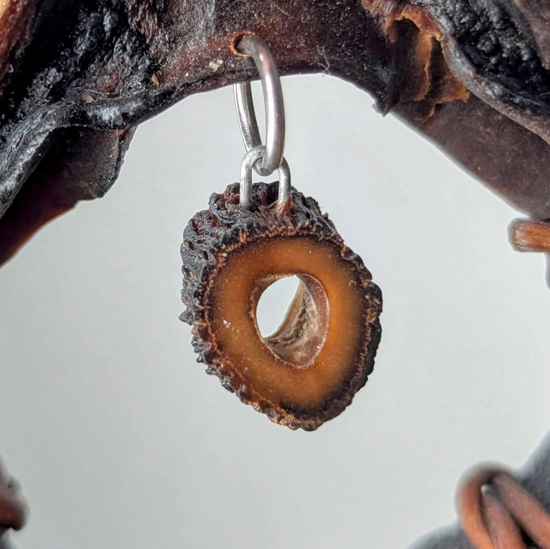 Sarcolaria Pendant Necklace - Image 2