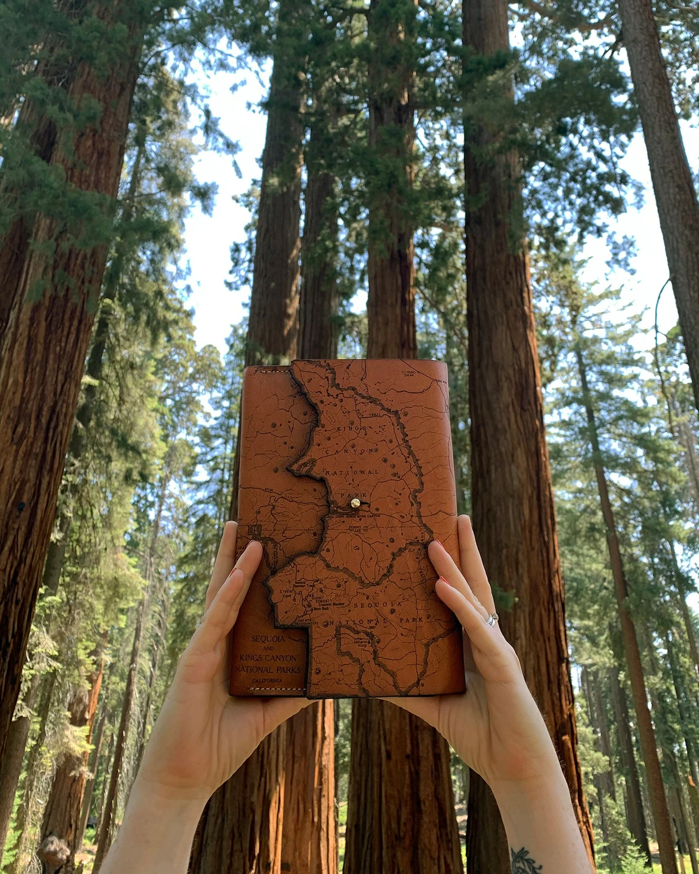 Sequoia and Kings Canyon National Parks Map Journal - Image 5