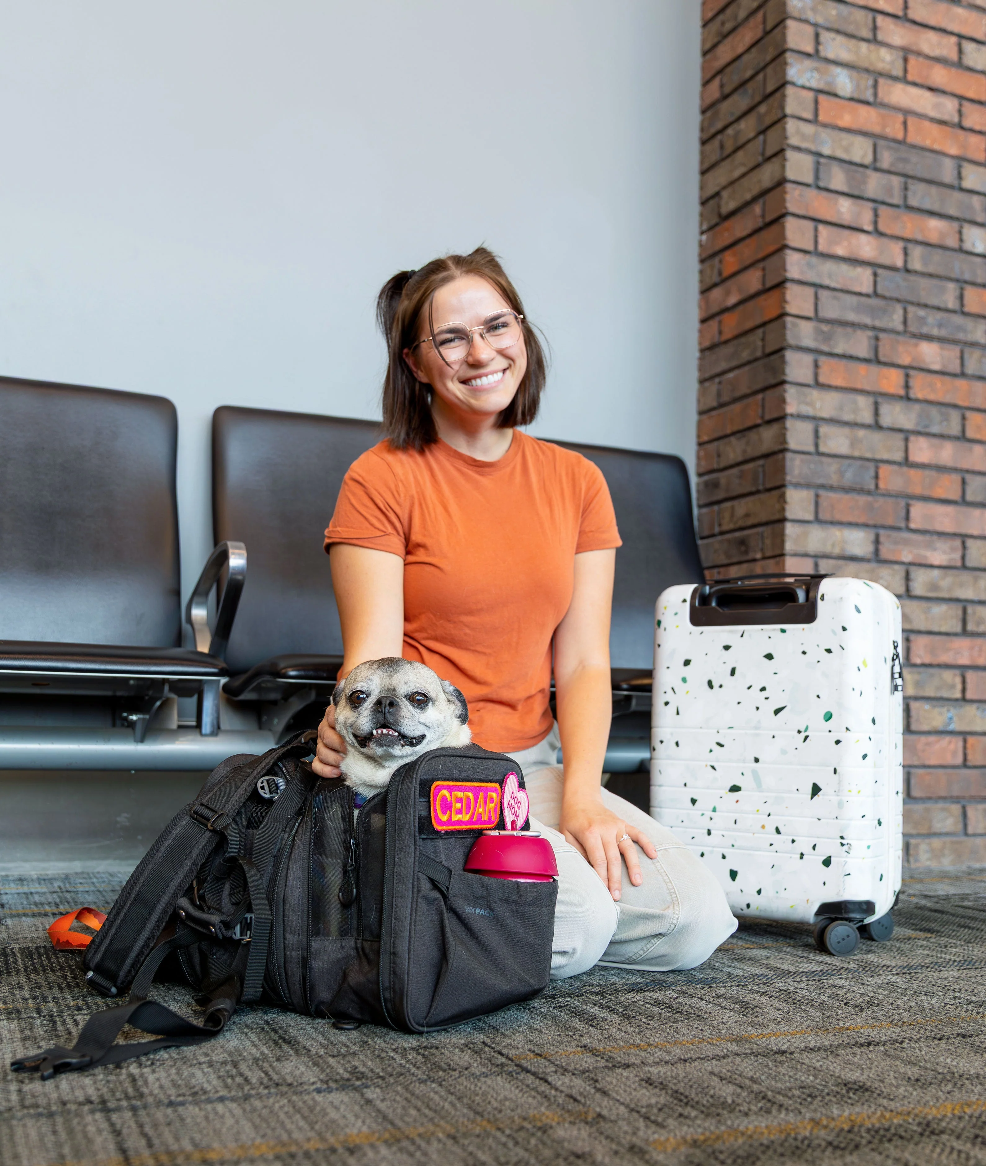 Sky Pack | Convertible Dog Backpack & Pet Carrier - Image 10