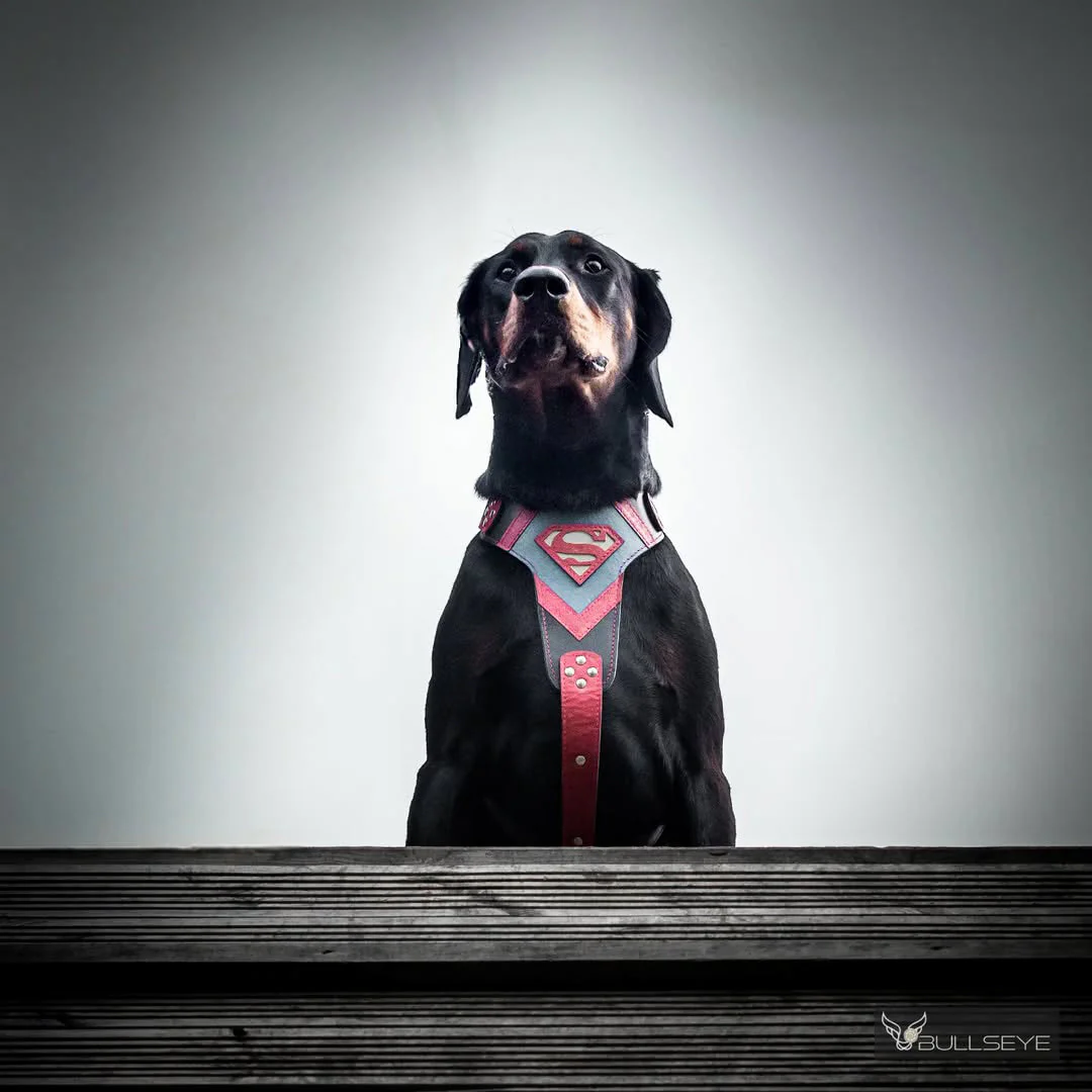"Superdog" Dog Harness - Image 4