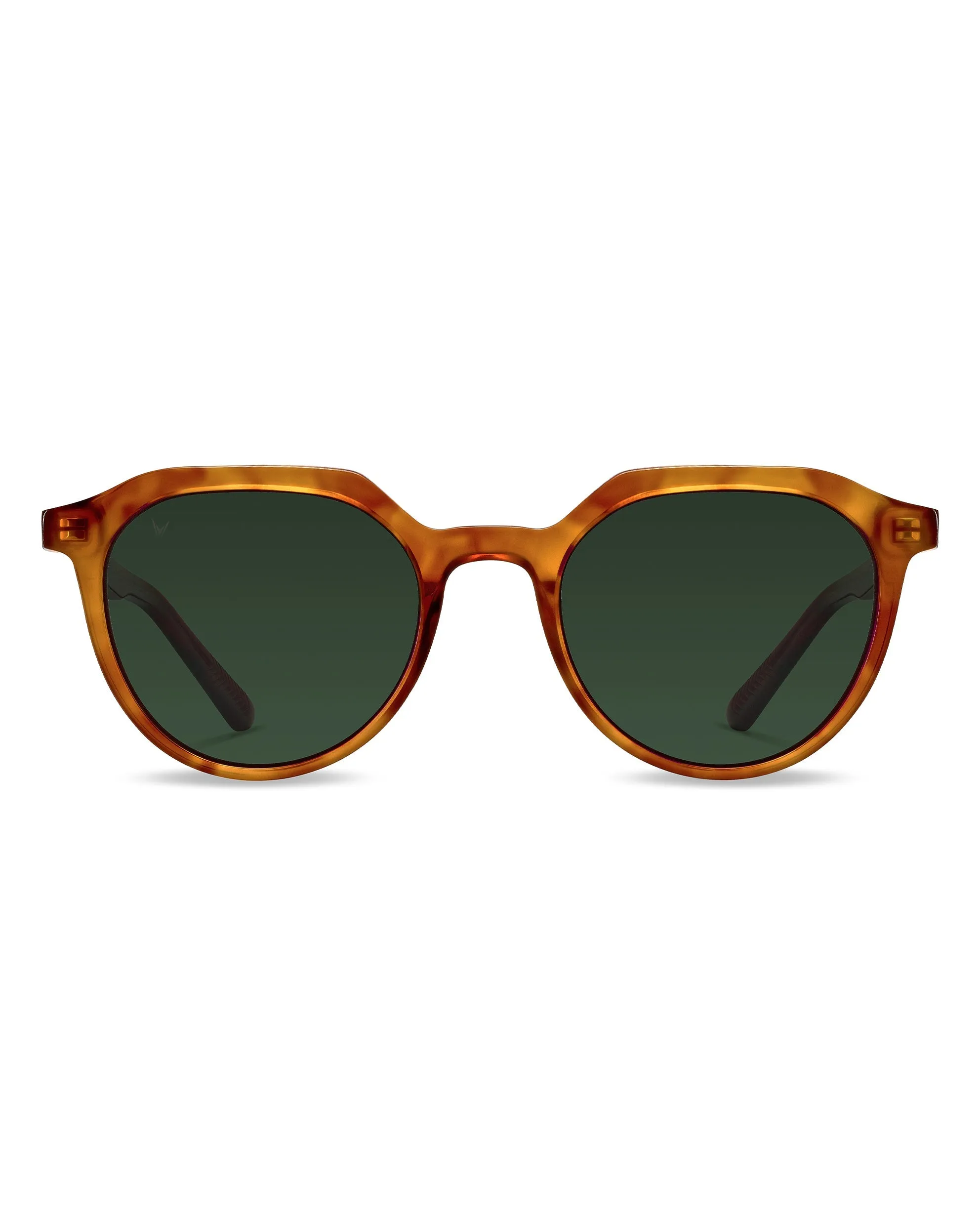 The Aiden Sunglasses - Honey Tort - Image 11