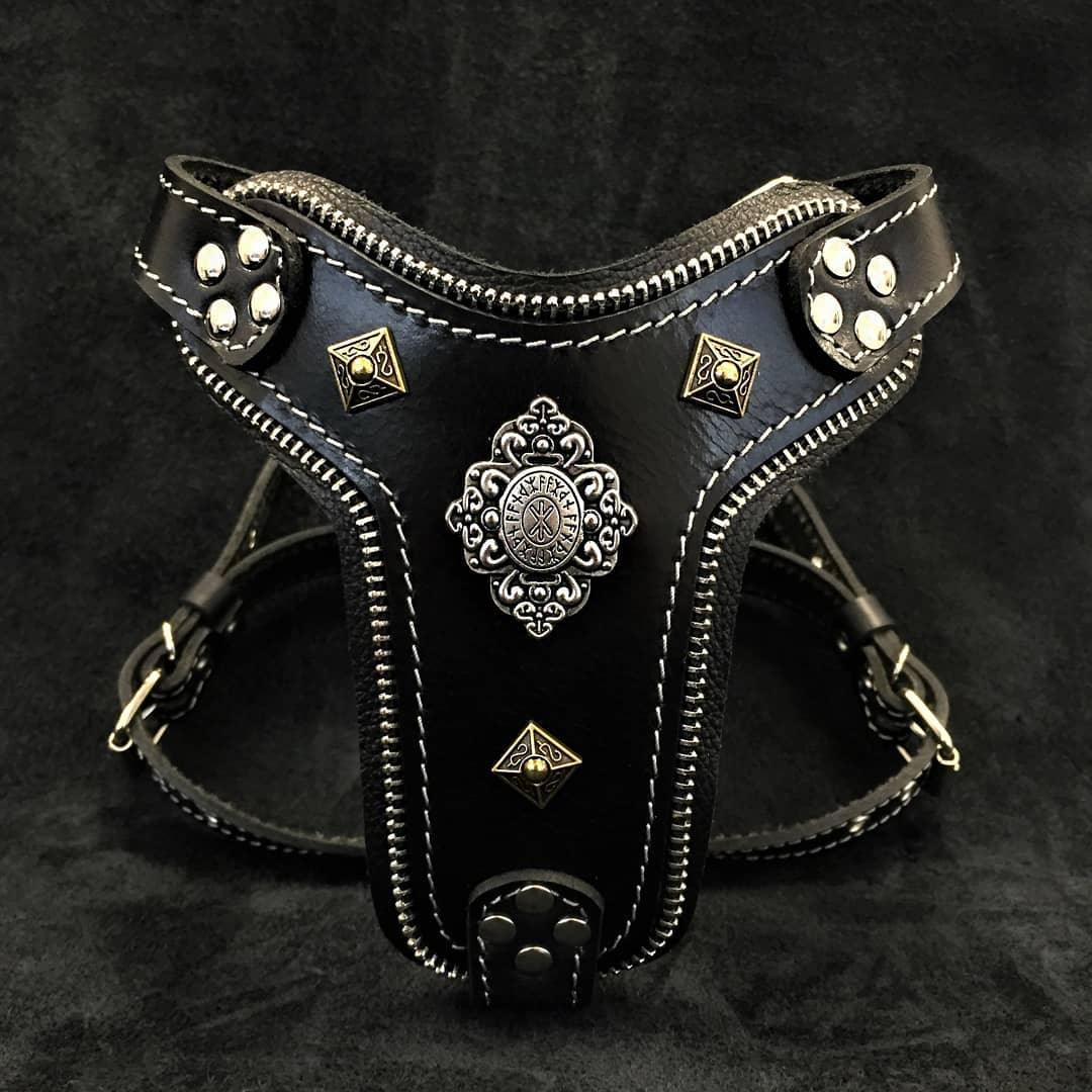 The "Aztec" Dog Harness for Small to Medium Breeds