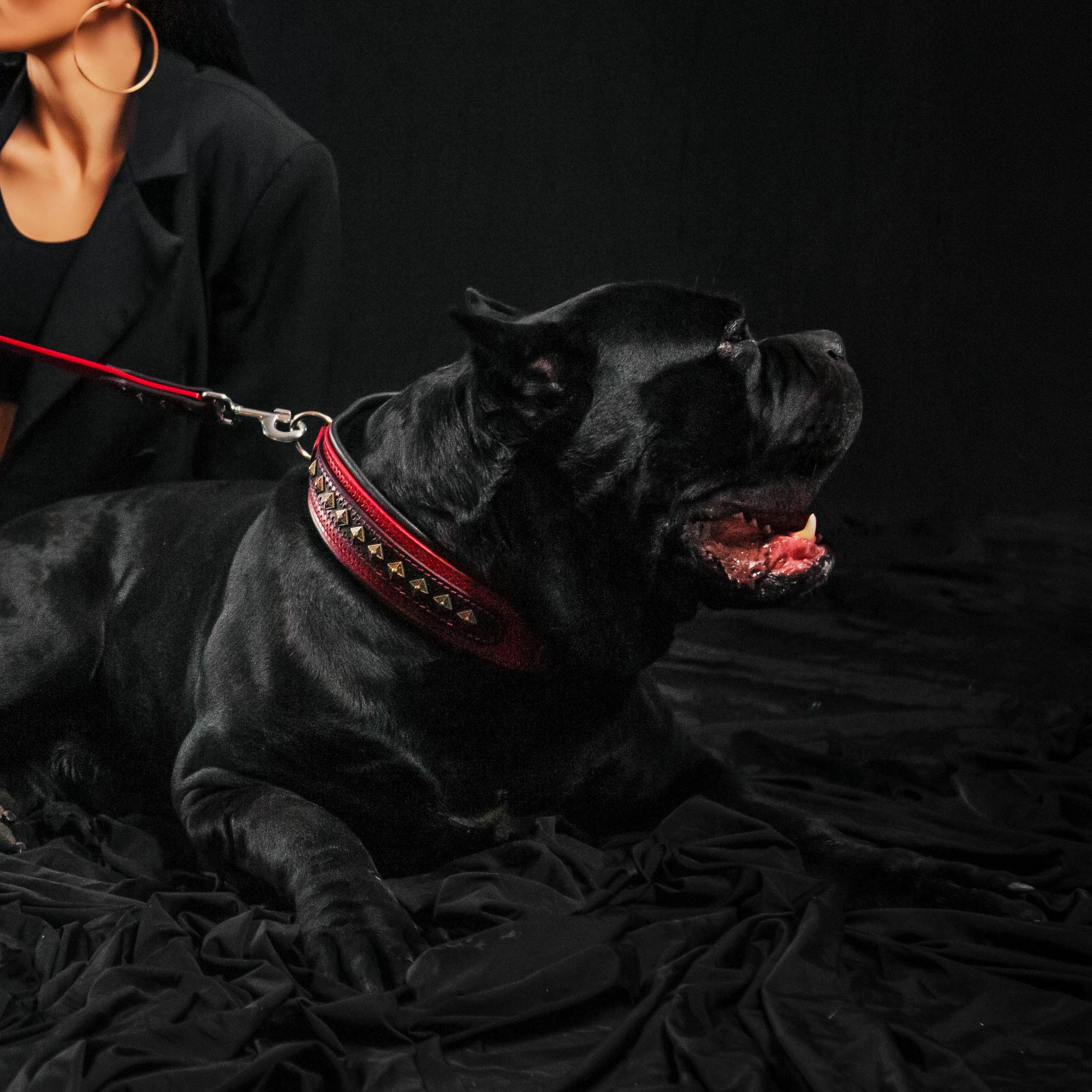 The "Balteus" Dog Collar. Red - Image 2