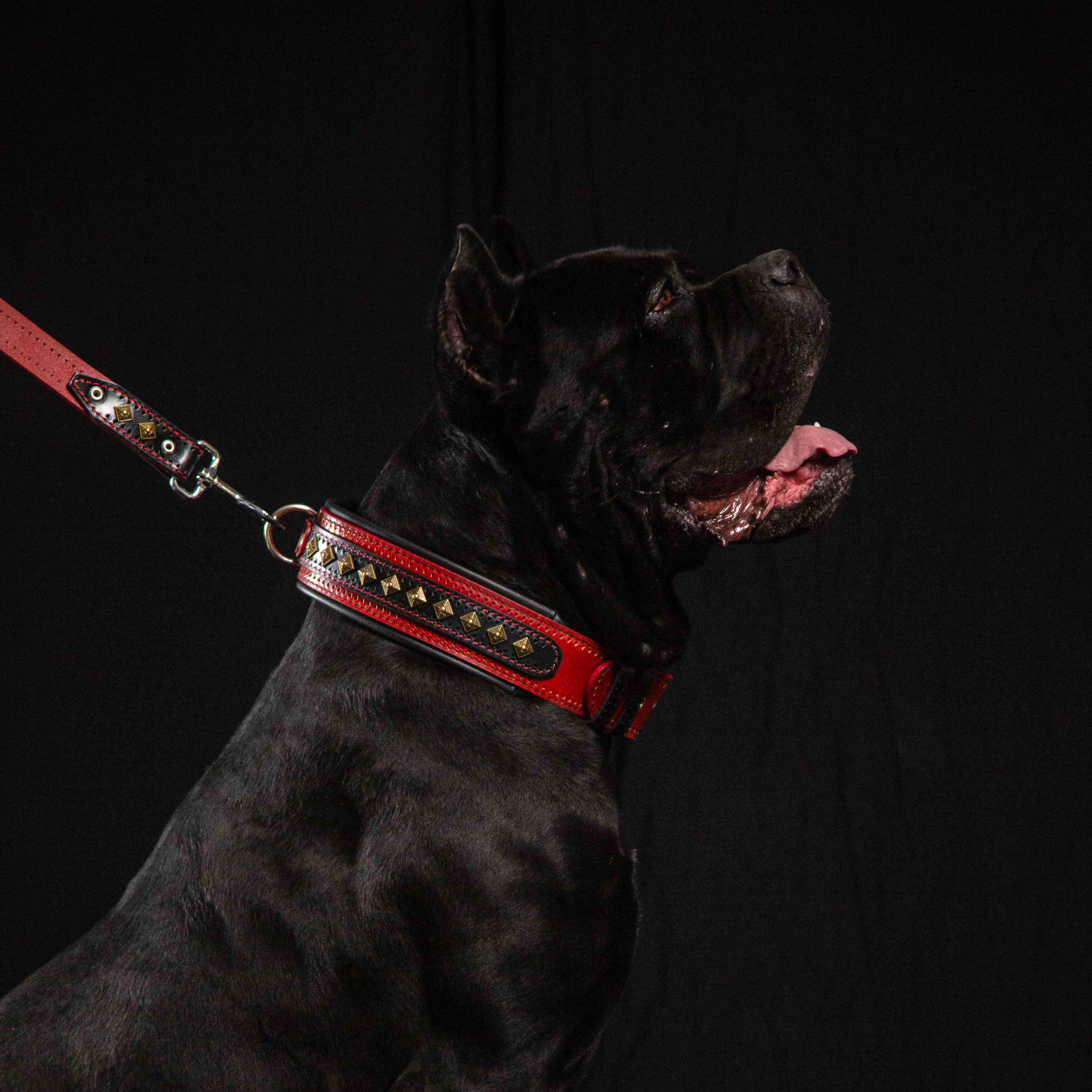 The "Balteus" Dog Collar. Red - Image 3
