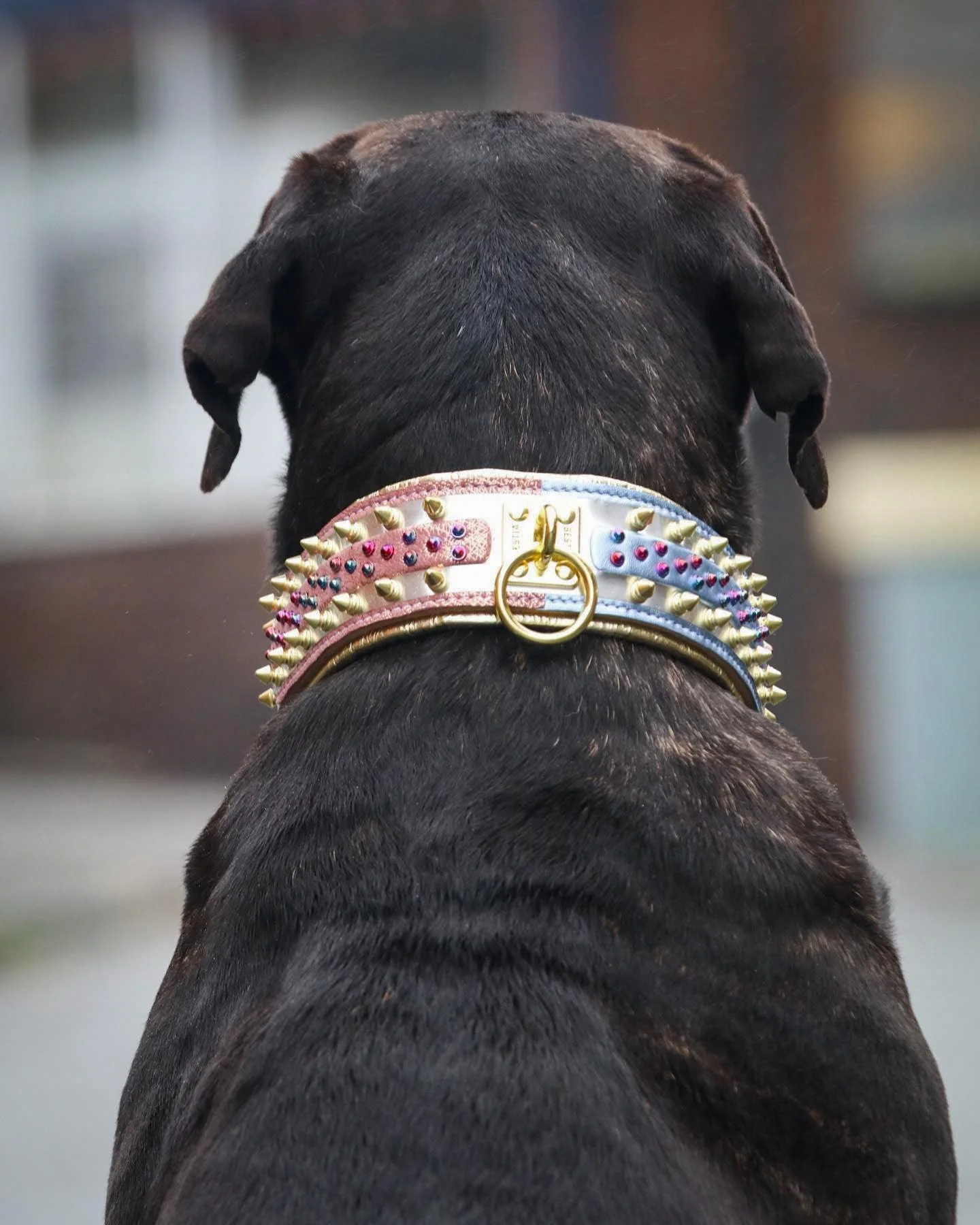 The "Candy" Dog Collar - Image 11