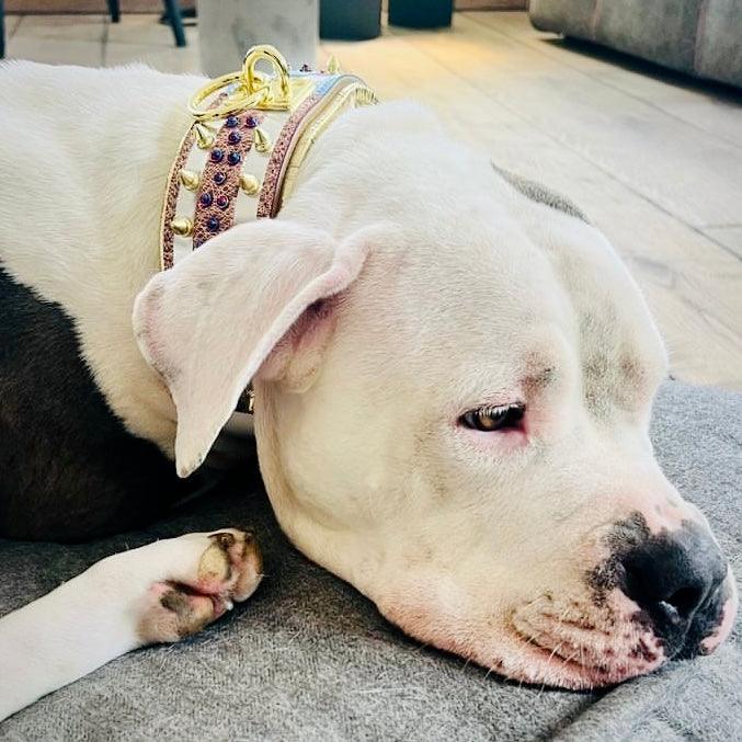 The "Candy" Dog Collar - Image 12