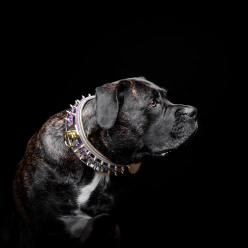 The "Candy" Dog Collar - Image 8