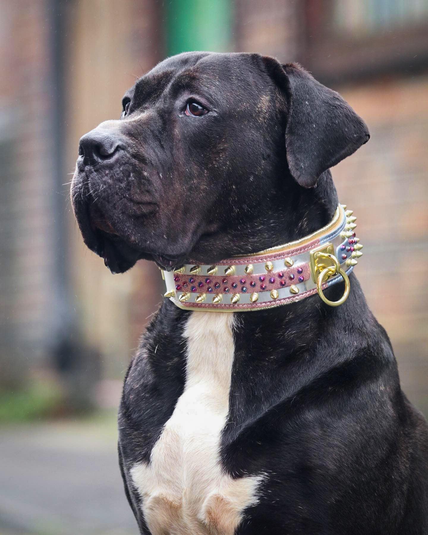 The "Candy" Dog Collar - Image 9