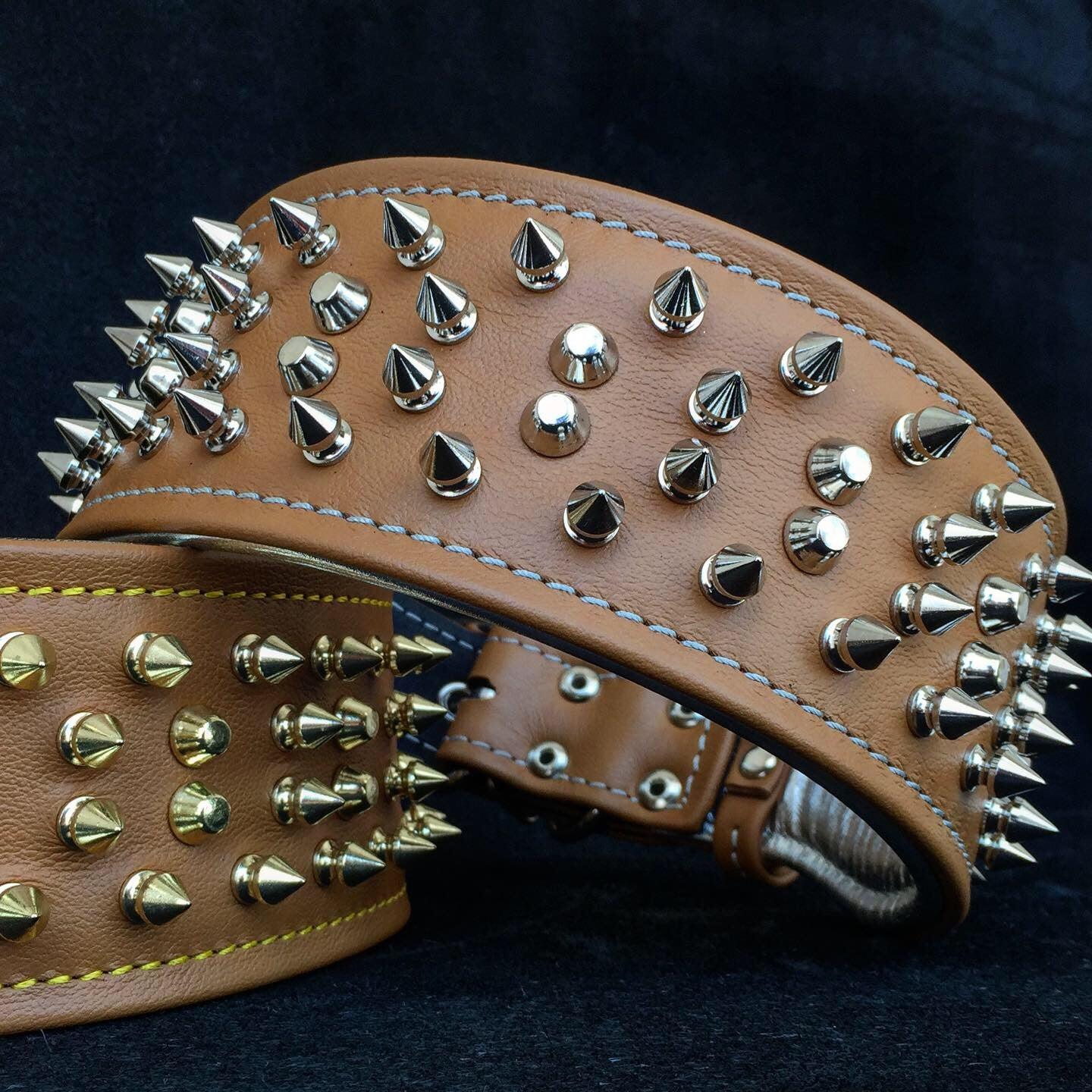 The "Crown" Dog Collar - Image 2