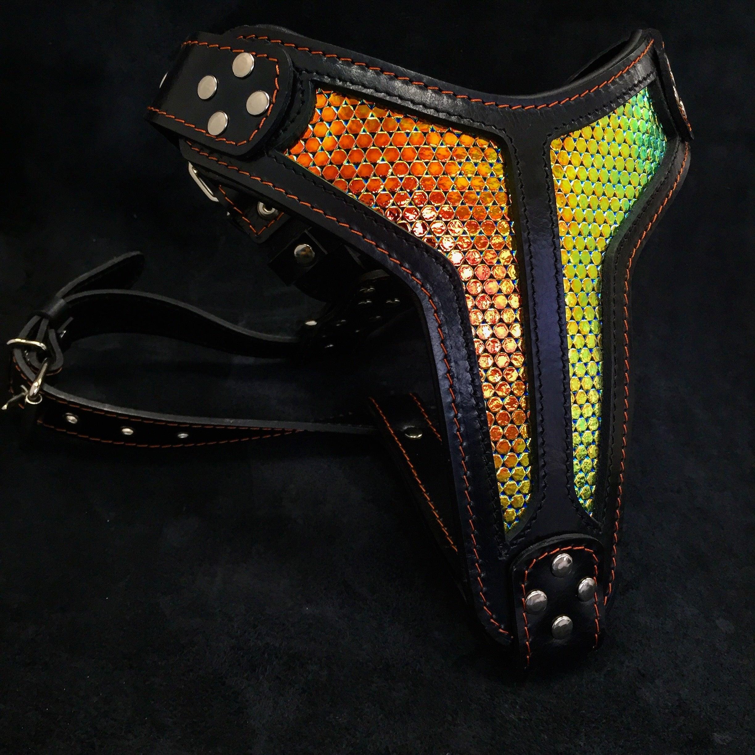 The "D`Albertis" Dog Harness LIMITED