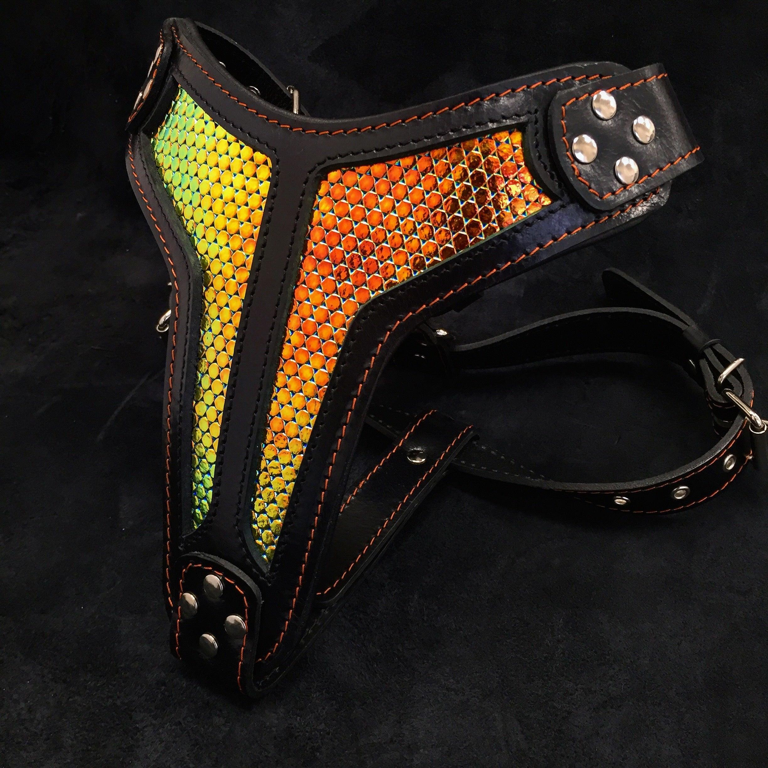 The "D`Albertis" Dog Harness LIMITED - Image 2