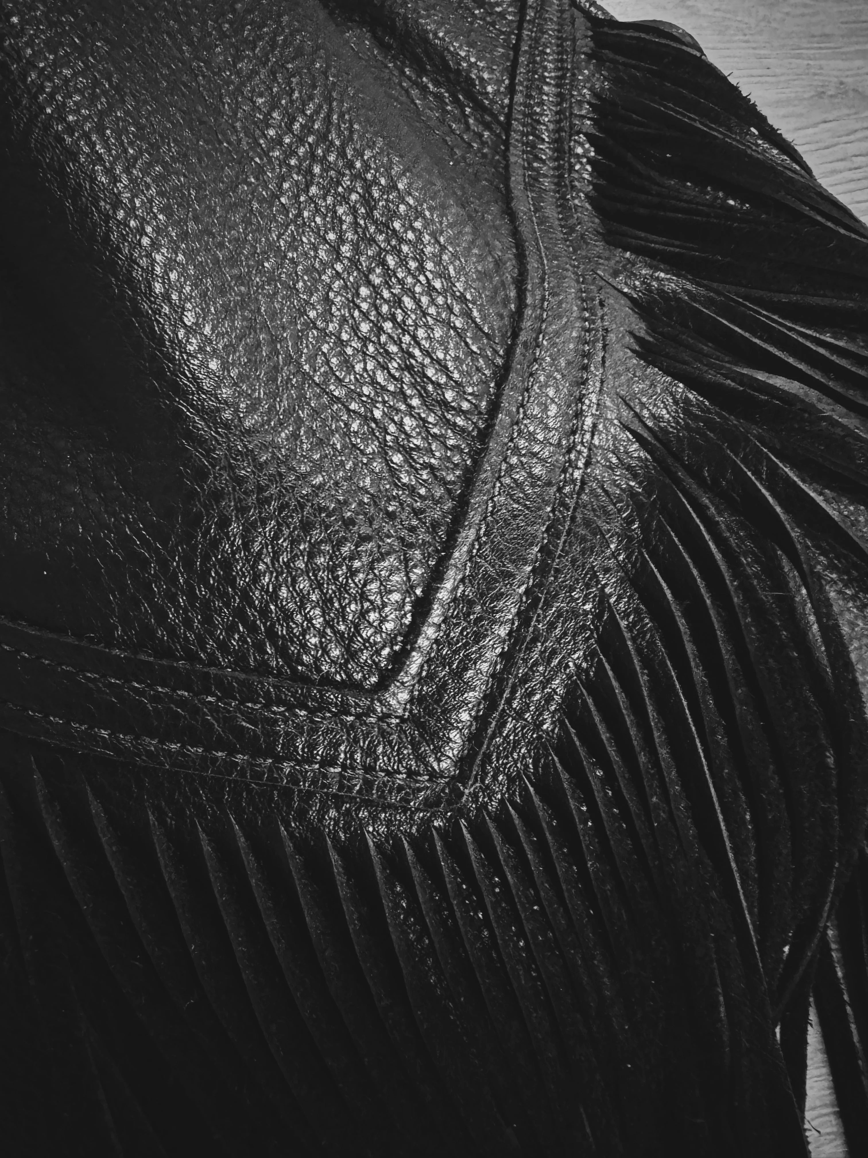The Desert Tote Bag - Image 4