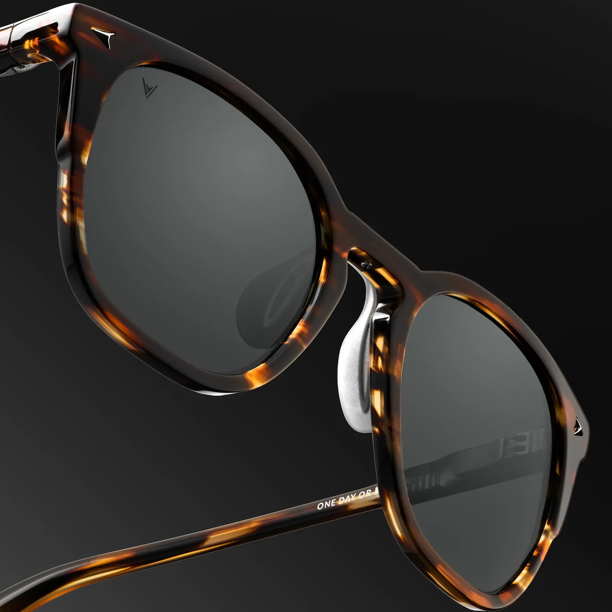 The Echo Sunglasses - Brown Horn - Image 3
