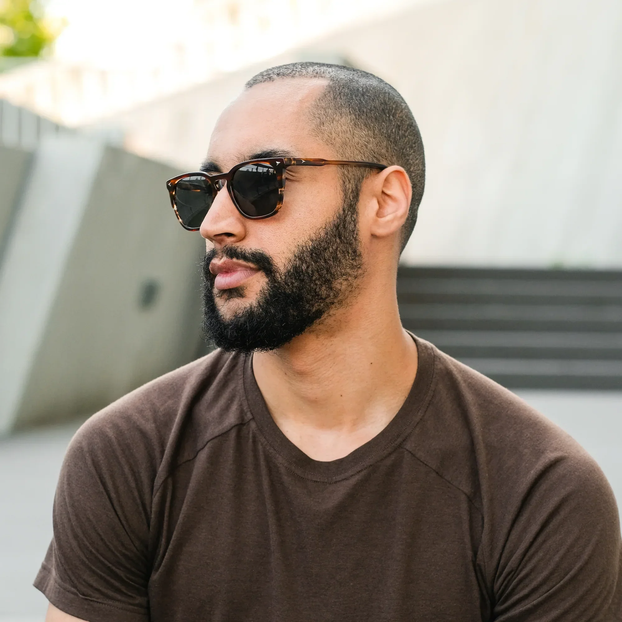 The Echo Sunglasses - Brown Horn - Image 5