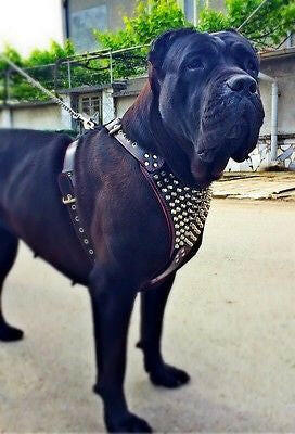 The "Gladiator" Dog Harness - Image 3