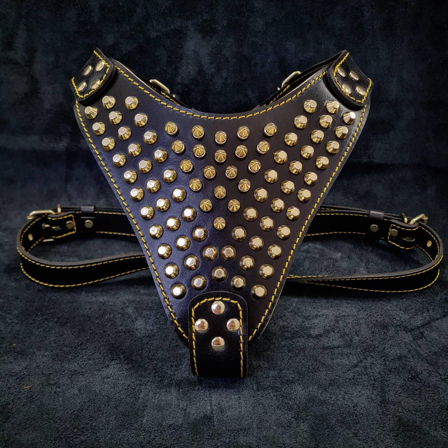 The "Gladiator" Dog Harness. Gold/Silver