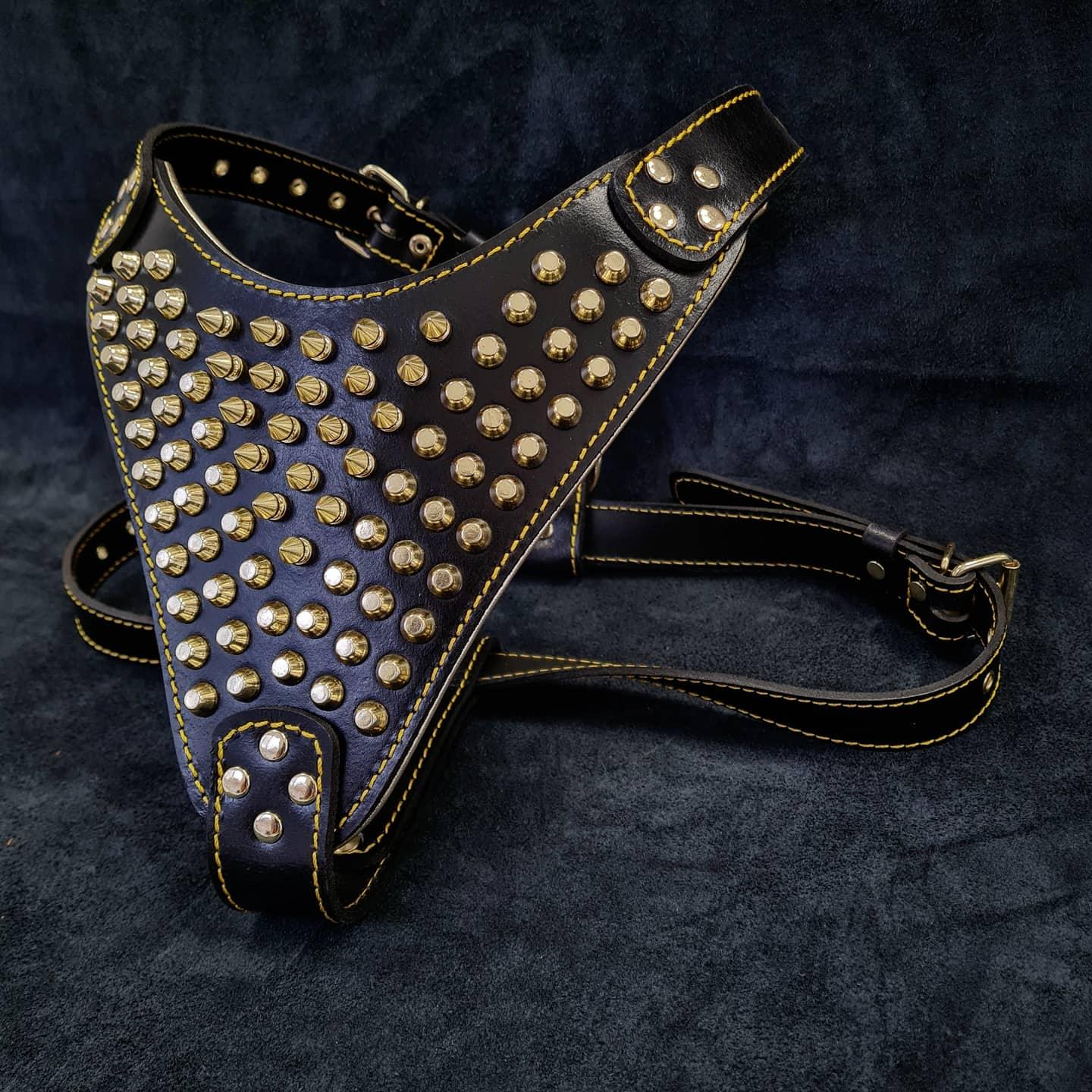 The "Gladiator" Dog Harness. Gold/Silver - Image 2