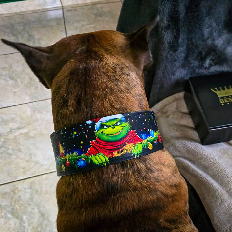 The "Grinch" Limited Dog Collar - Image 7