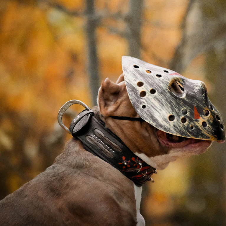 The "Haunted" Dog Collar LIMITED - Image 3