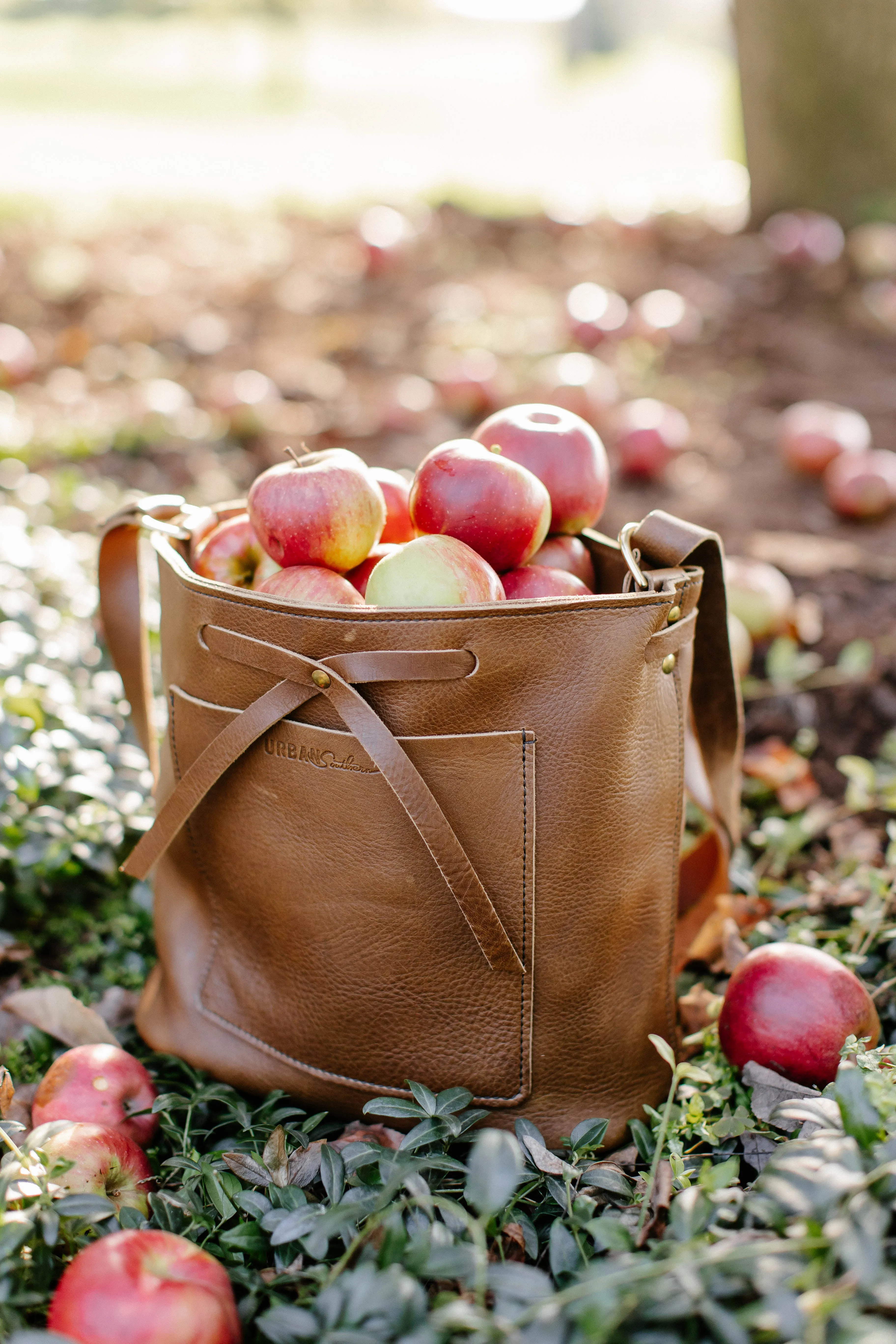 The Lexington Bow Crossbody Bag - Image 13
