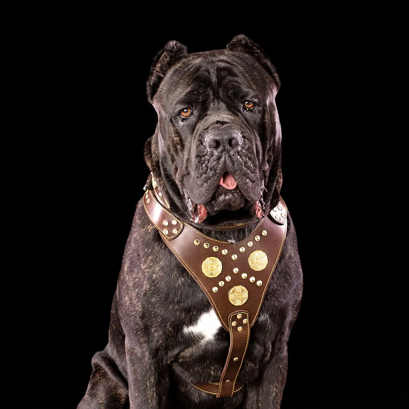 The "Maximus" Dog Harness. Brown - Image 2