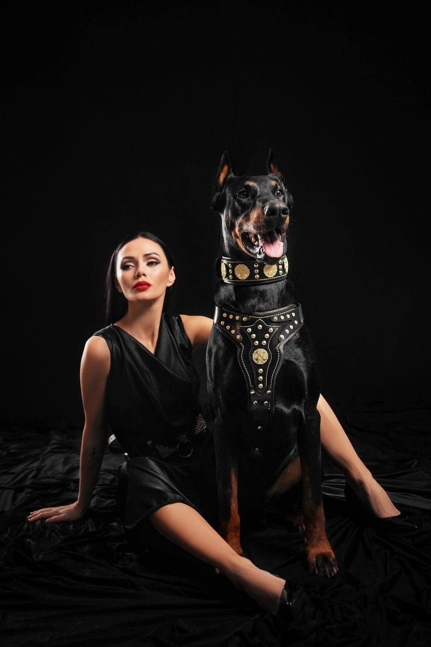 The "Maximus" Dog Harness V2 - Image 2
